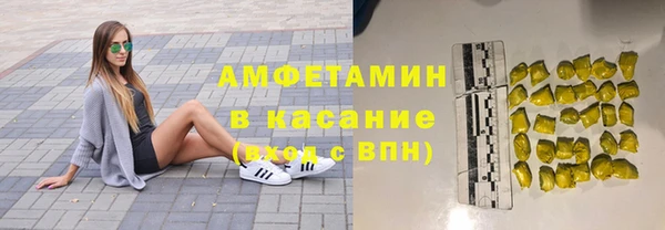 стаф Алзамай