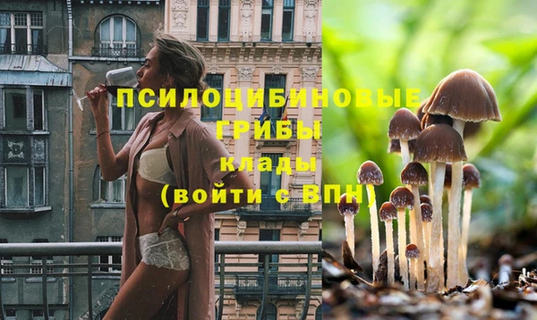 хмурый Абинск